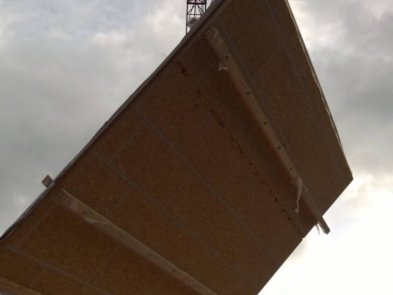 holzbau